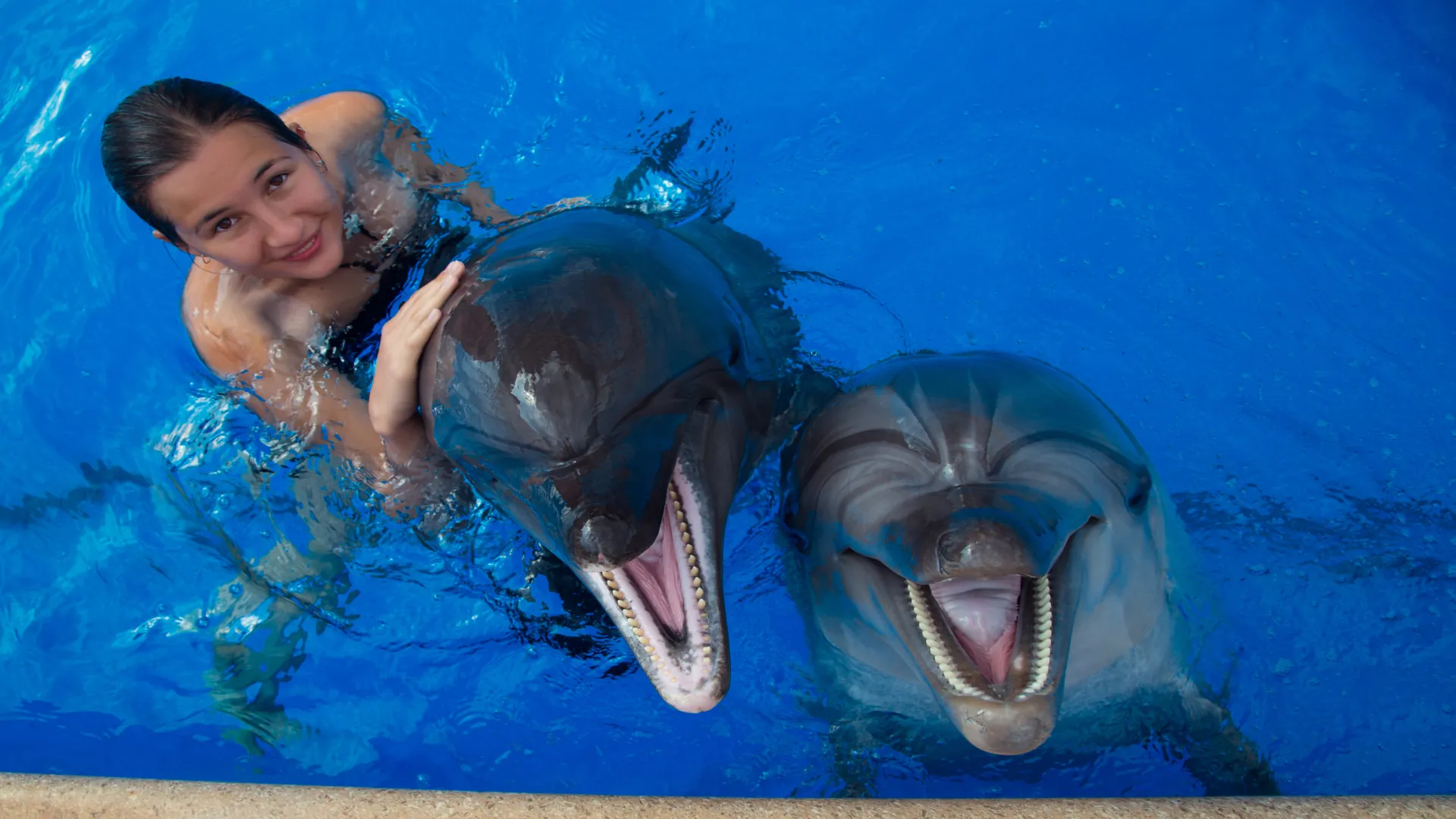 Nada Con Delfines
