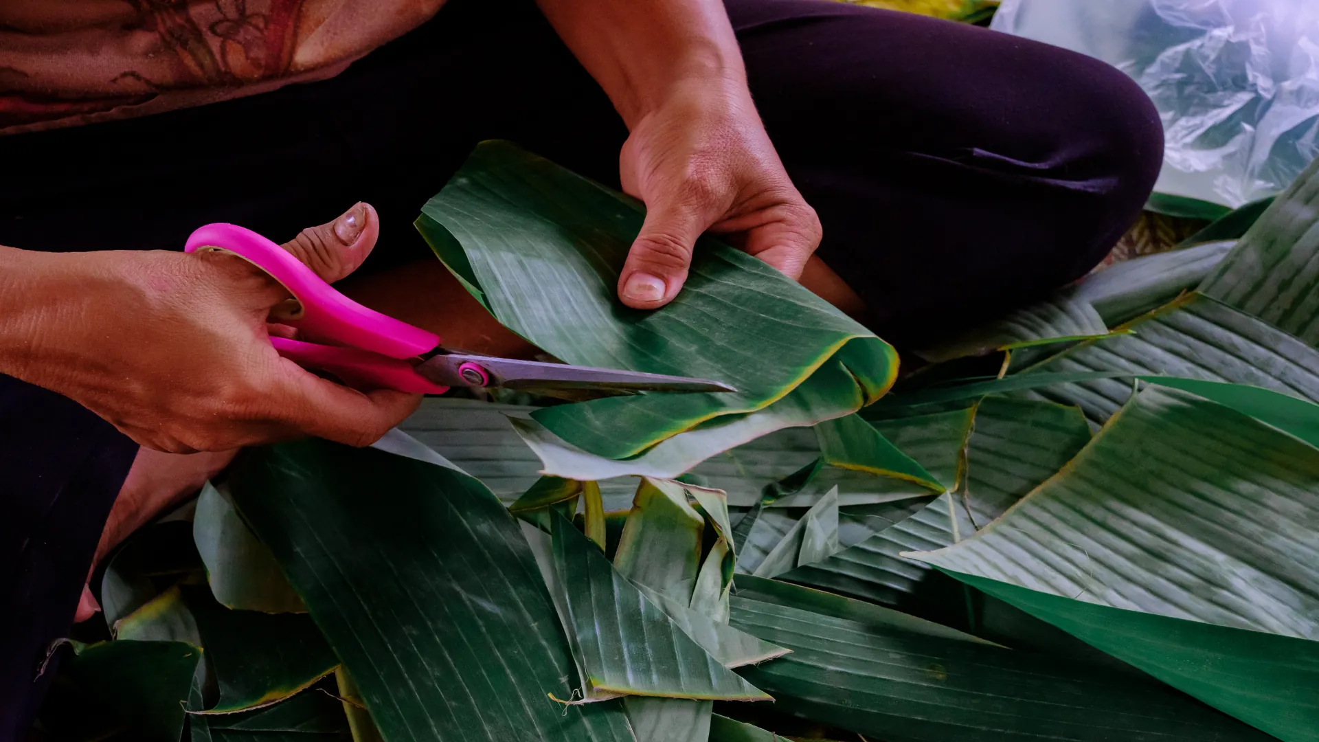 Actividades Comerciales